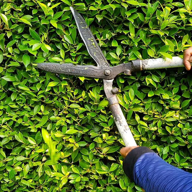  Garten und Landschaftsbau Mustermann – Referenzfotos